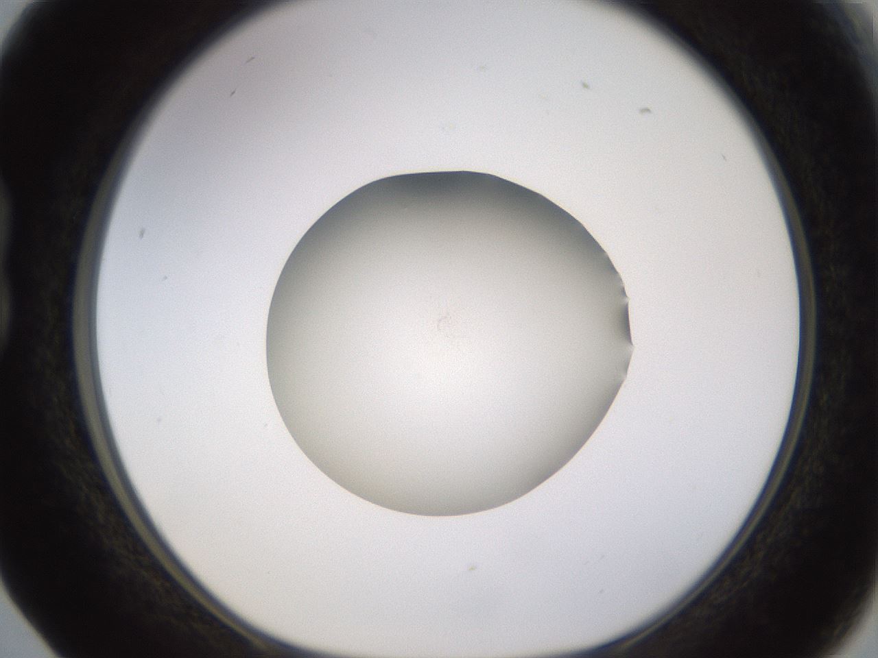 folderID400_plateID1400_batchID5057_wellNum17_profileID1_d1_r85570_ef.jpg