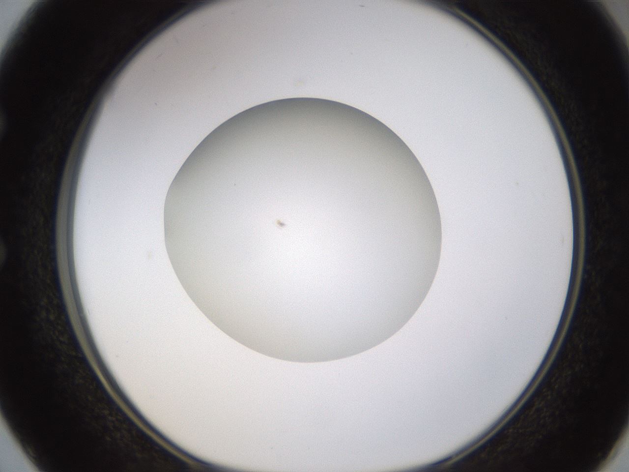 folderID400_plateID1400_batchID5057_wellNum50_profileID1_d1_r85603_ef.jpg