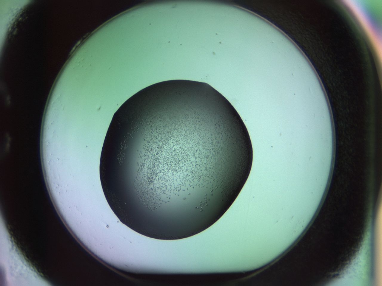 02kn_C4_ImagerDefaults_9.jpg