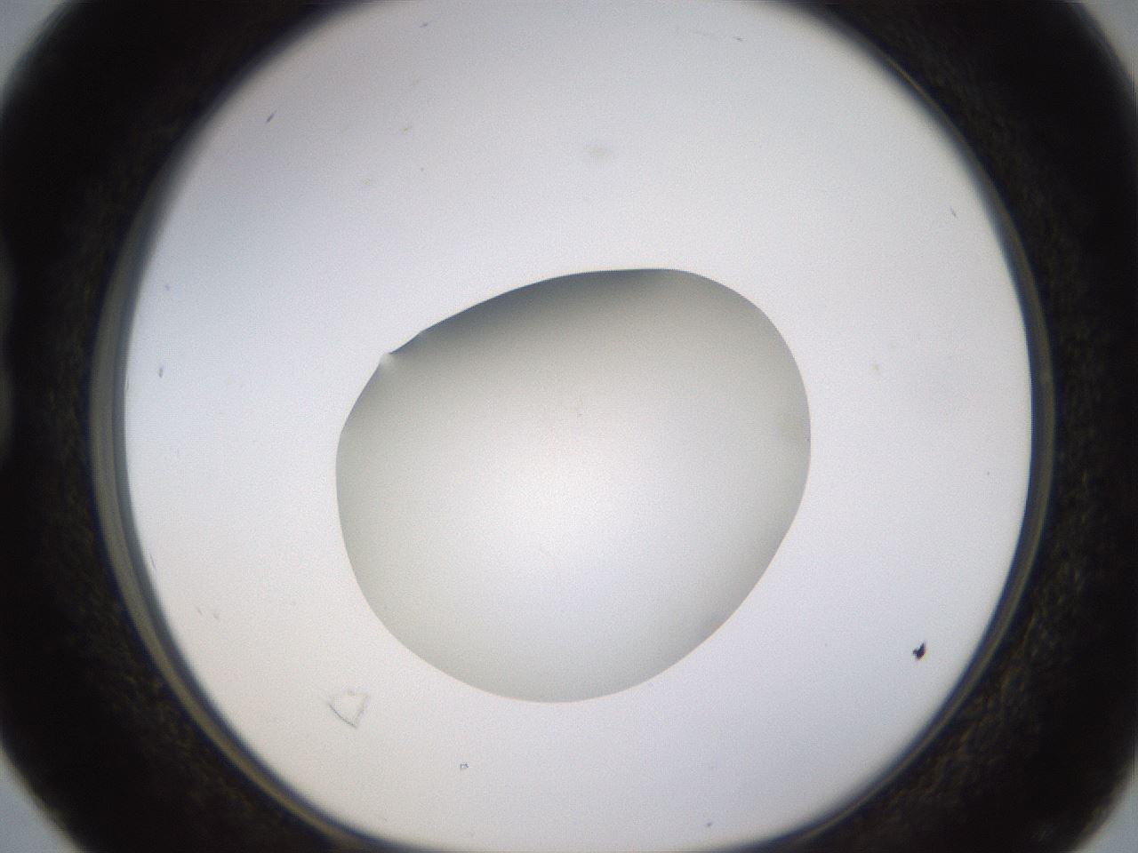 folderID401_plateID1401_batchID5050_wellNum16_profileID1_d1_r84993_ef.jpg