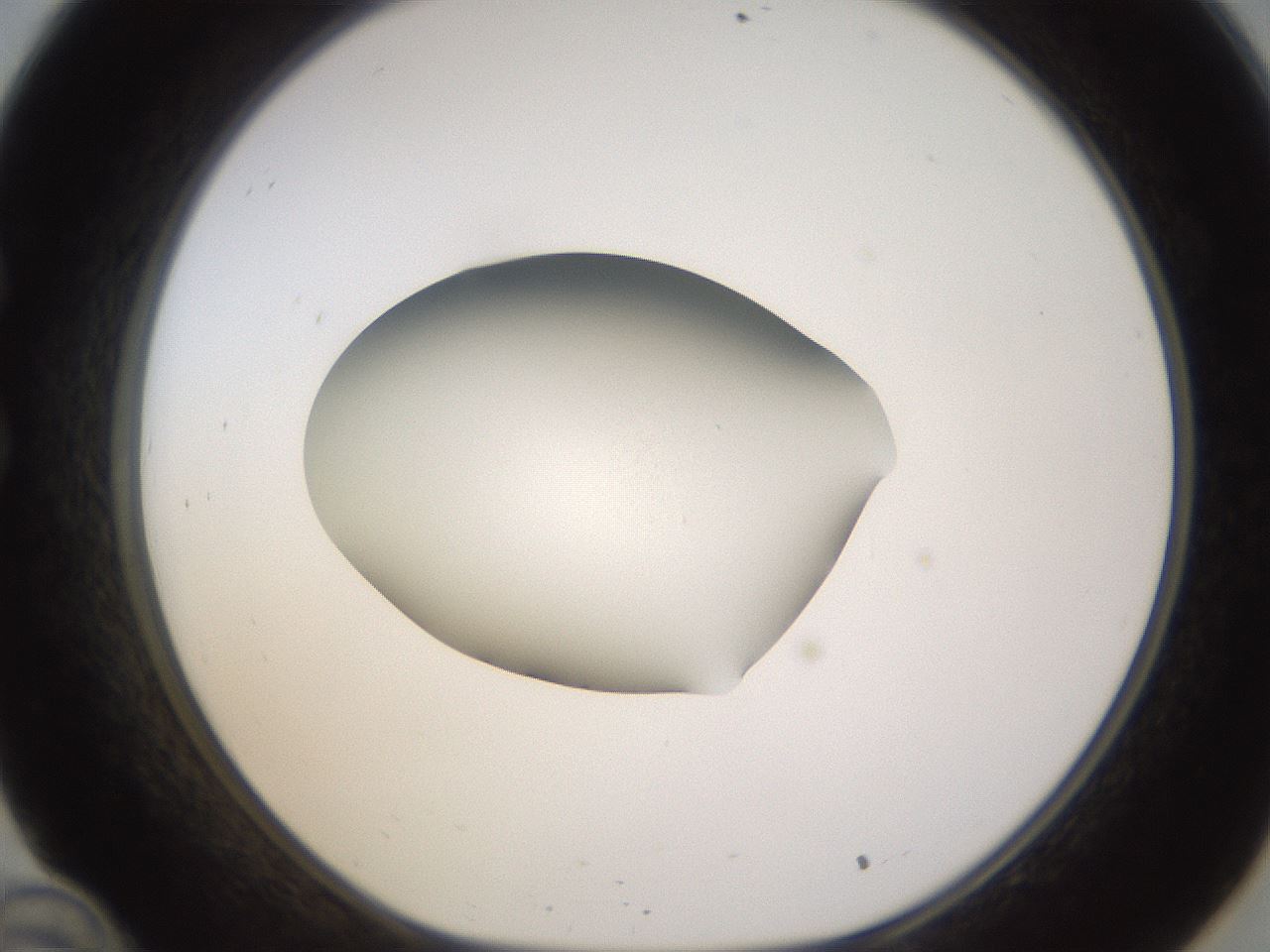 folderID401_plateID1401_batchID5050_wellNum34_profileID1_d1_r85011_ef.jpg
