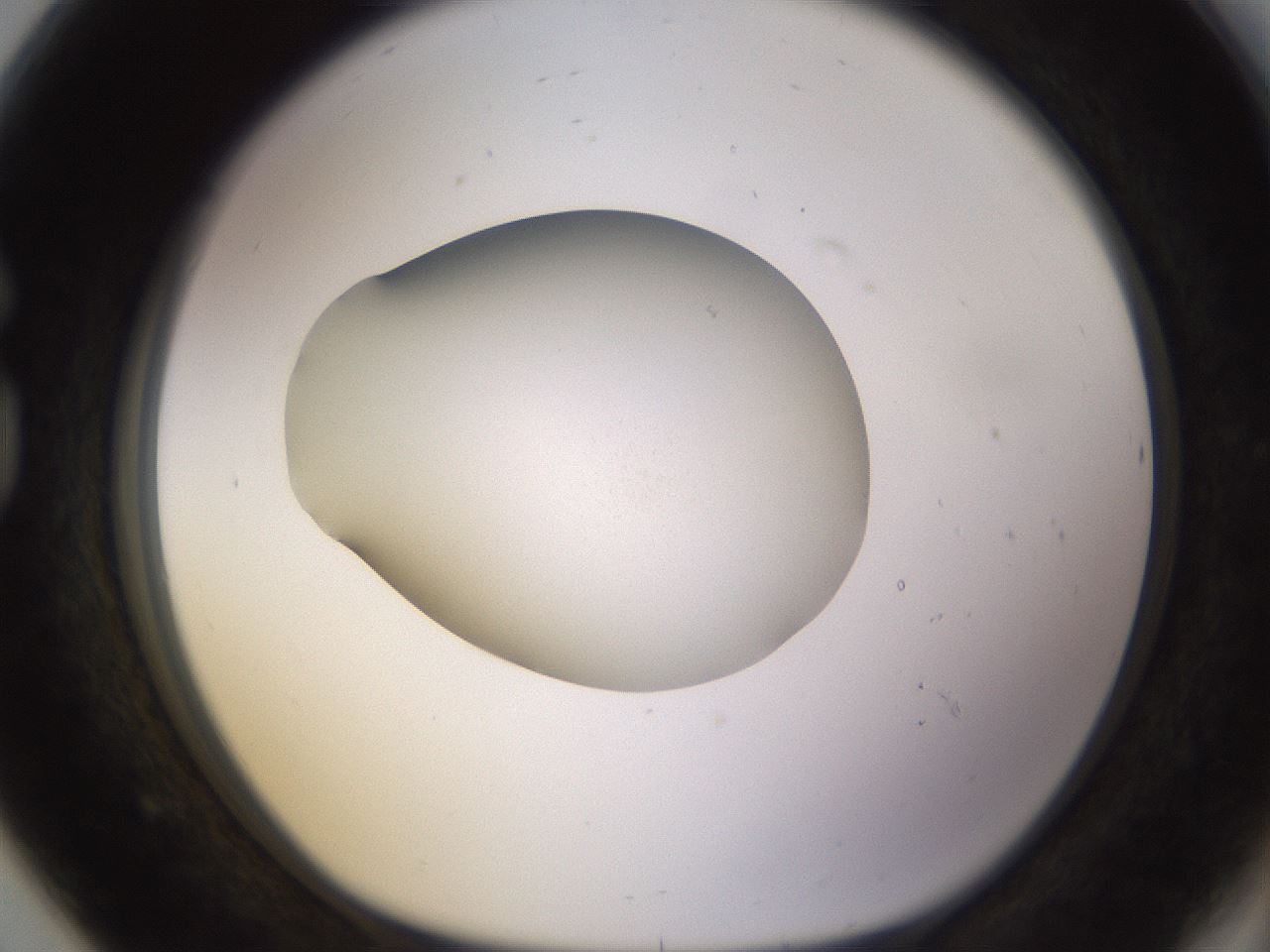 folderID401_plateID1401_batchID5050_wellNum80_profileID1_d1_r85057_ef.jpg