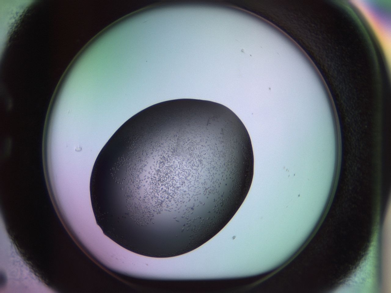02kn_C5_ImagerDefaults_9.jpg