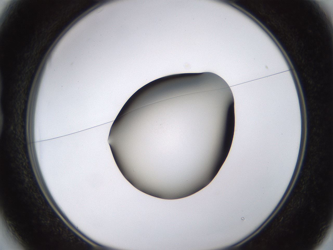 folderID401_plateID1401_batchID5050_wellNum13_profileID1_d1_r84990_ef.jpg