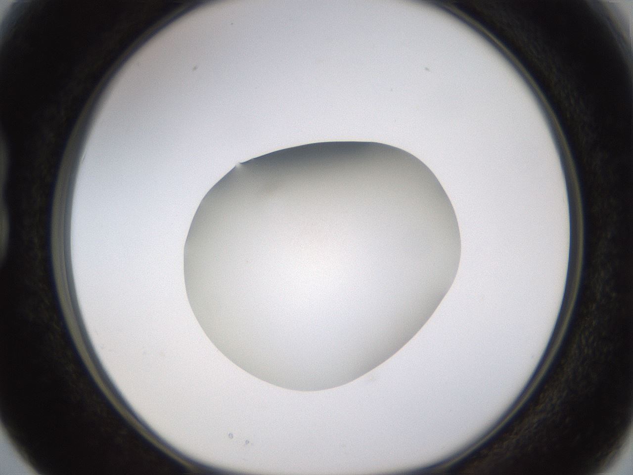 folderID401_plateID1401_batchID5050_wellNum15_profileID1_d1_r84992_ef.jpg