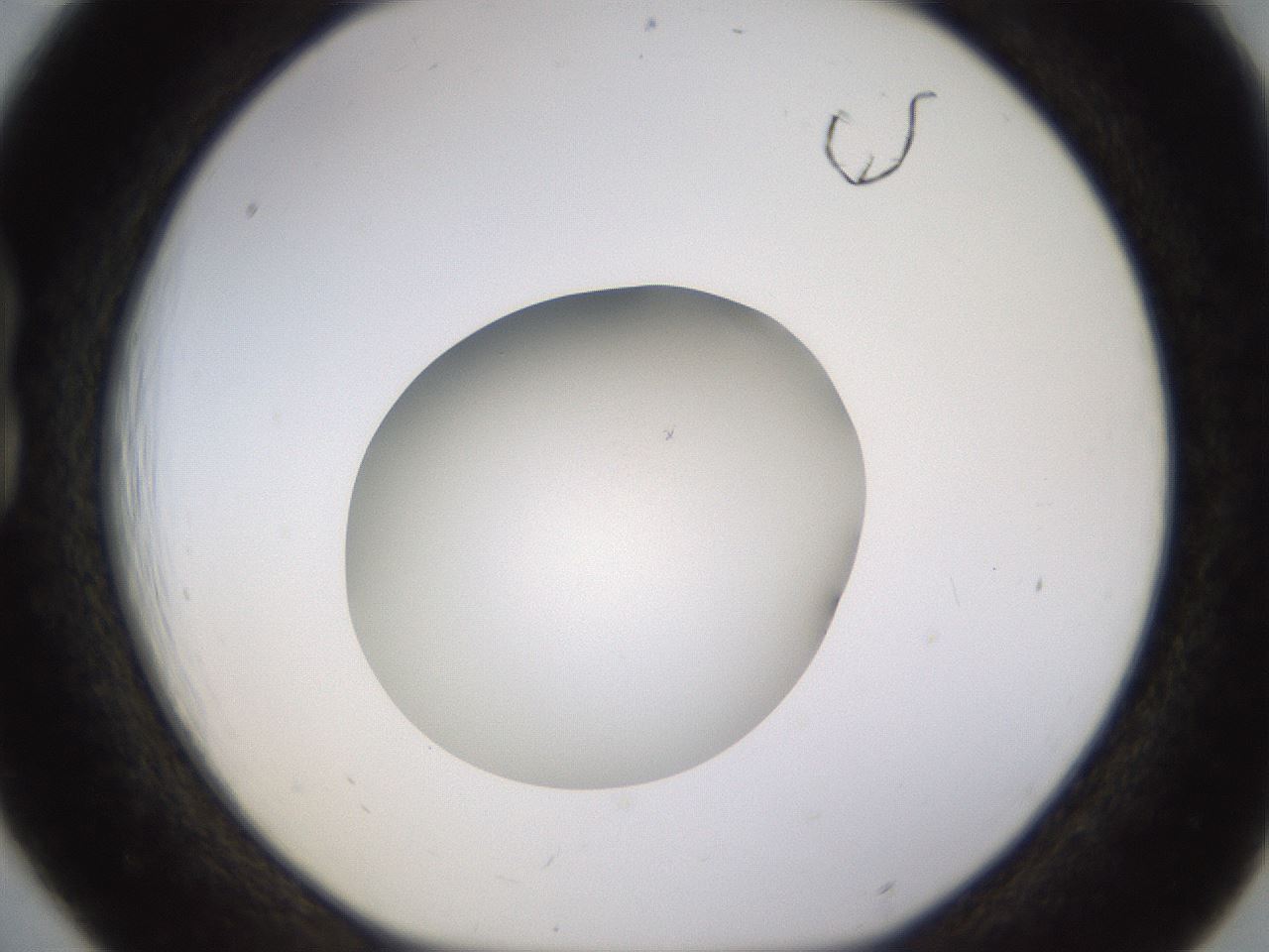 folderID401_plateID1401_batchID5050_wellNum18_profileID1_d1_r84995_ef.jpg