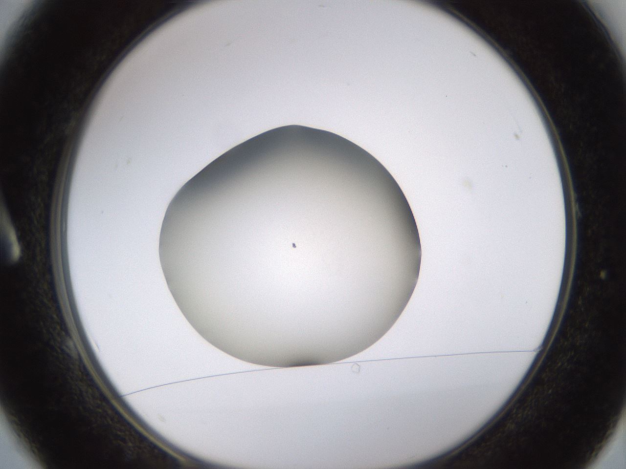 folderID401_plateID1401_batchID5050_wellNum1_profileID1_d1_r84978_ef.jpg