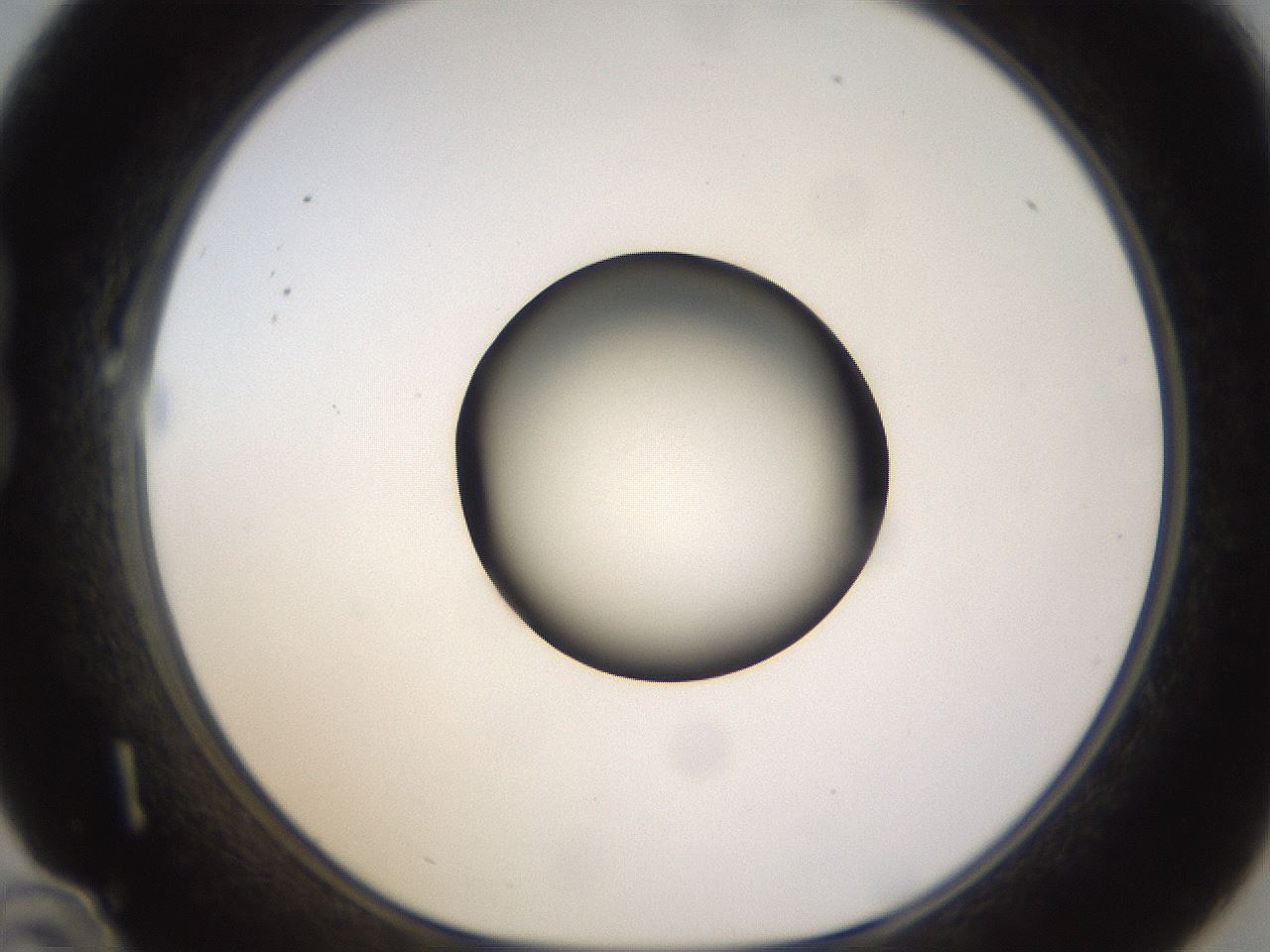 folderID401_plateID1401_batchID5050_wellNum22_profileID1_d1_r84999_ef.jpg