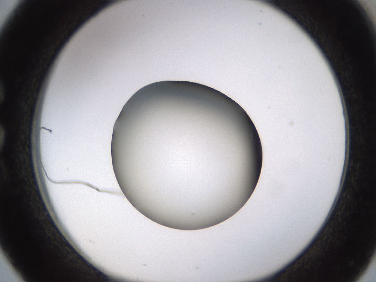 folderID401_plateID1401_batchID5050_wellNum26_profileID1_d1_r85003_ef.jpg