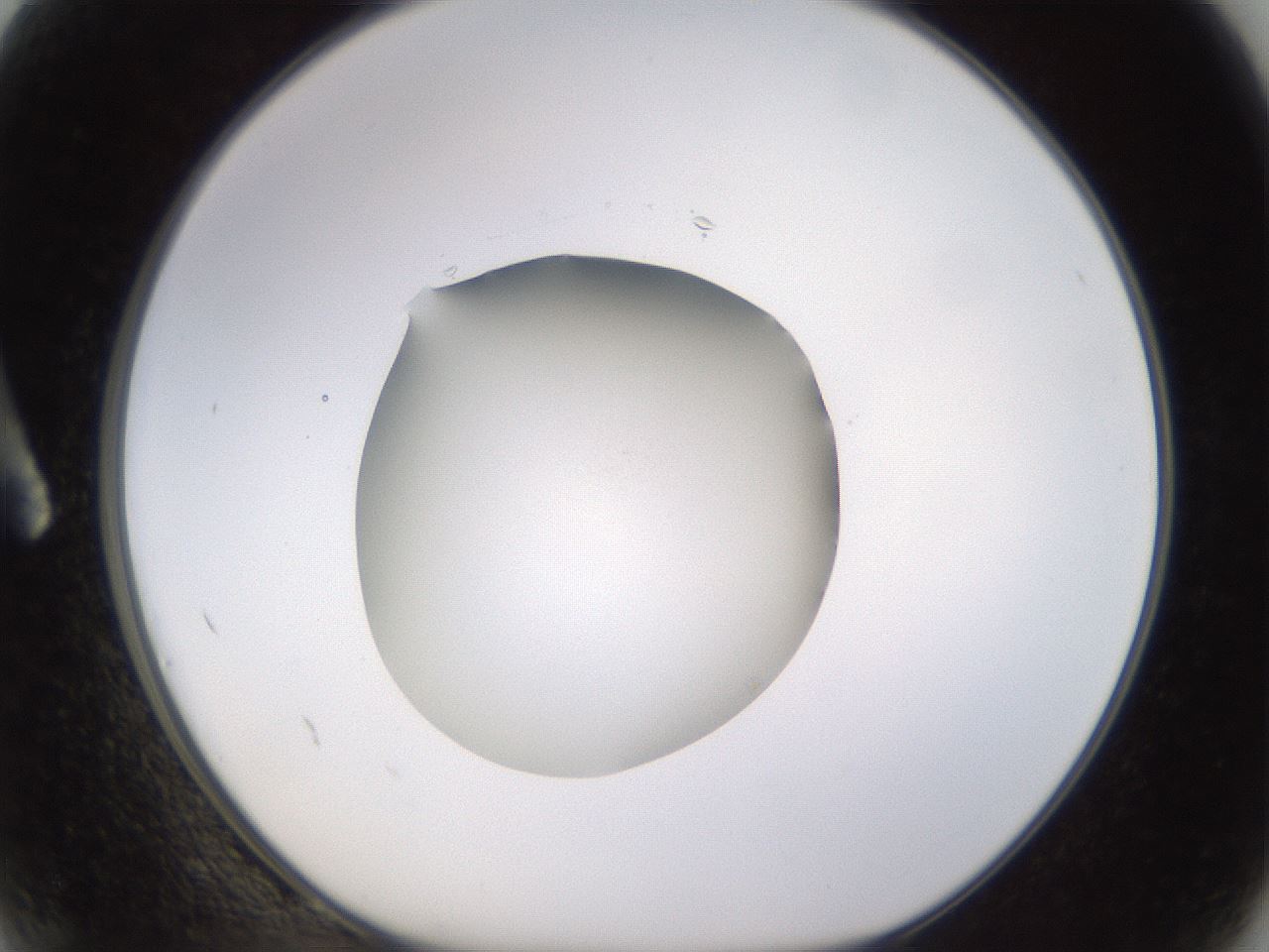 folderID401_plateID1401_batchID5050_wellNum2_profileID1_d1_r84979_ef.jpg