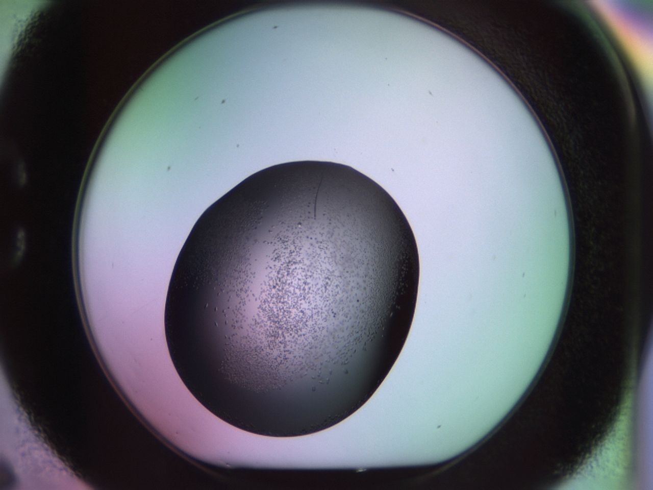 02kn_C6_ImagerDefaults_9.jpg