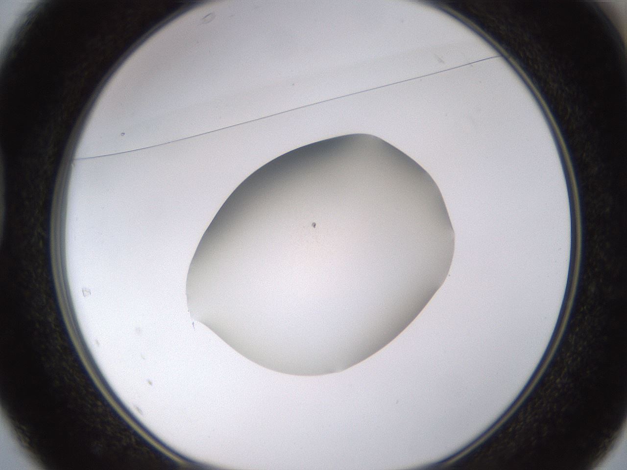 folderID401_plateID1401_batchID5050_wellNum37_profileID1_d1_r85014_ef.jpg