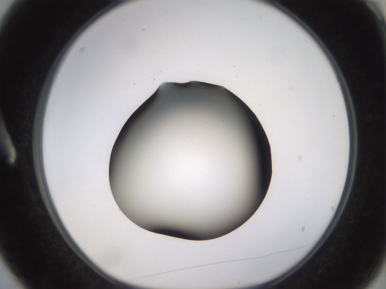 folderID401_plateID1401_batchID5050_wellNum3_profileID1_d1_r84980_ef.jpg