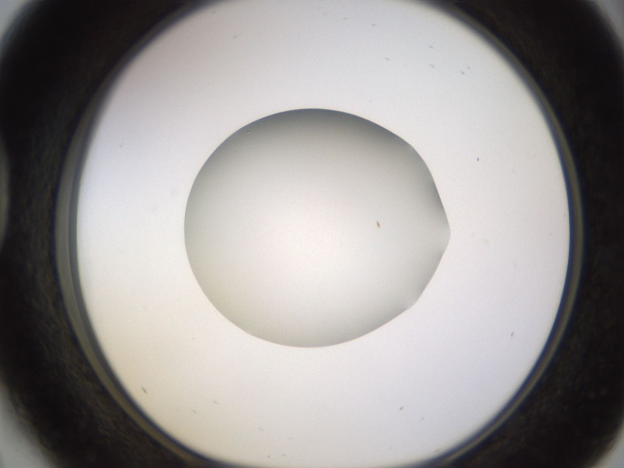 folderID401_plateID1401_batchID5050_wellNum41_profileID1_d1_r85018_ef.jpg
