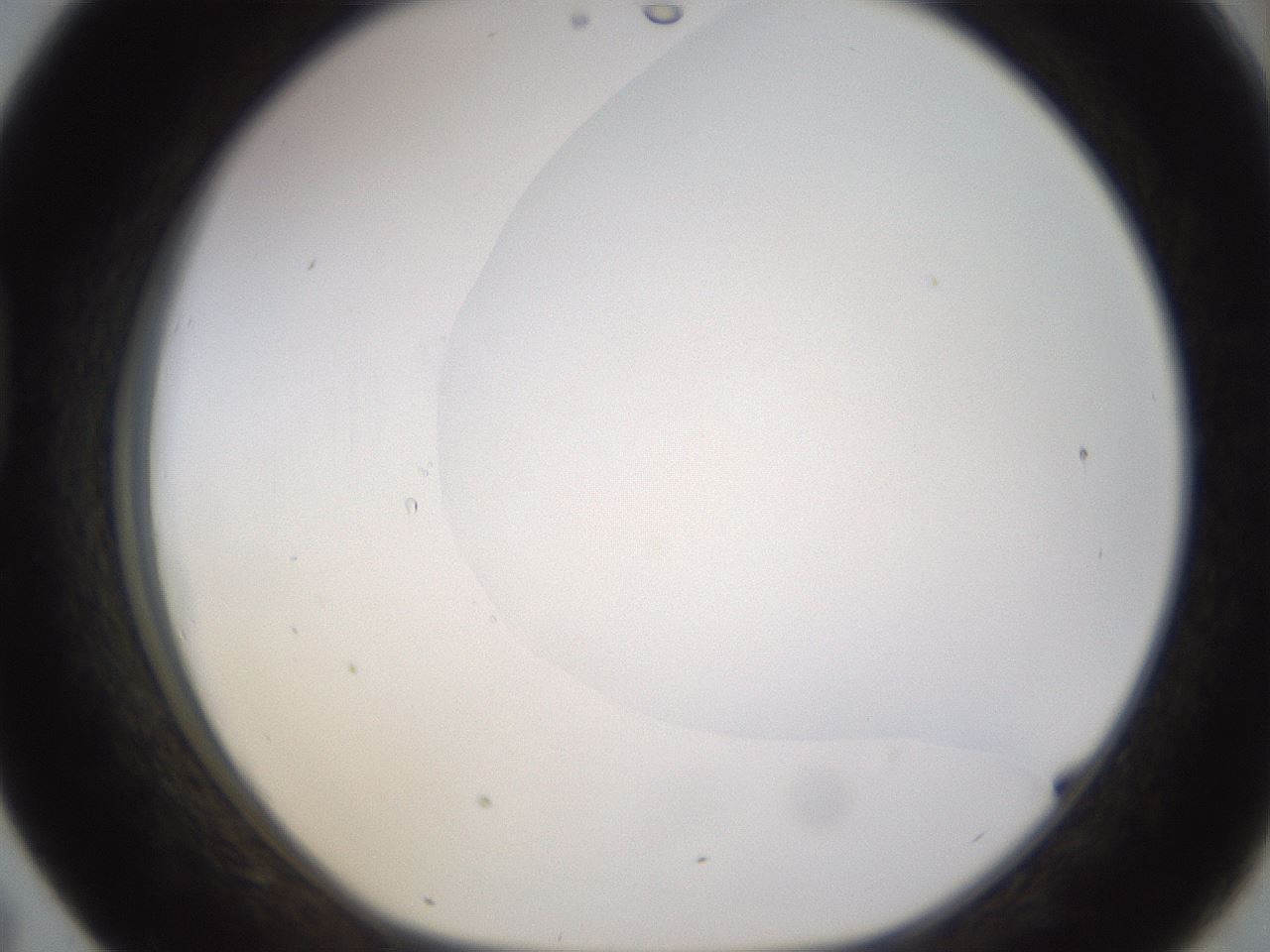 folderID401_plateID1401_batchID5050_wellNum43_profileID1_d1_r85020_ef.jpg