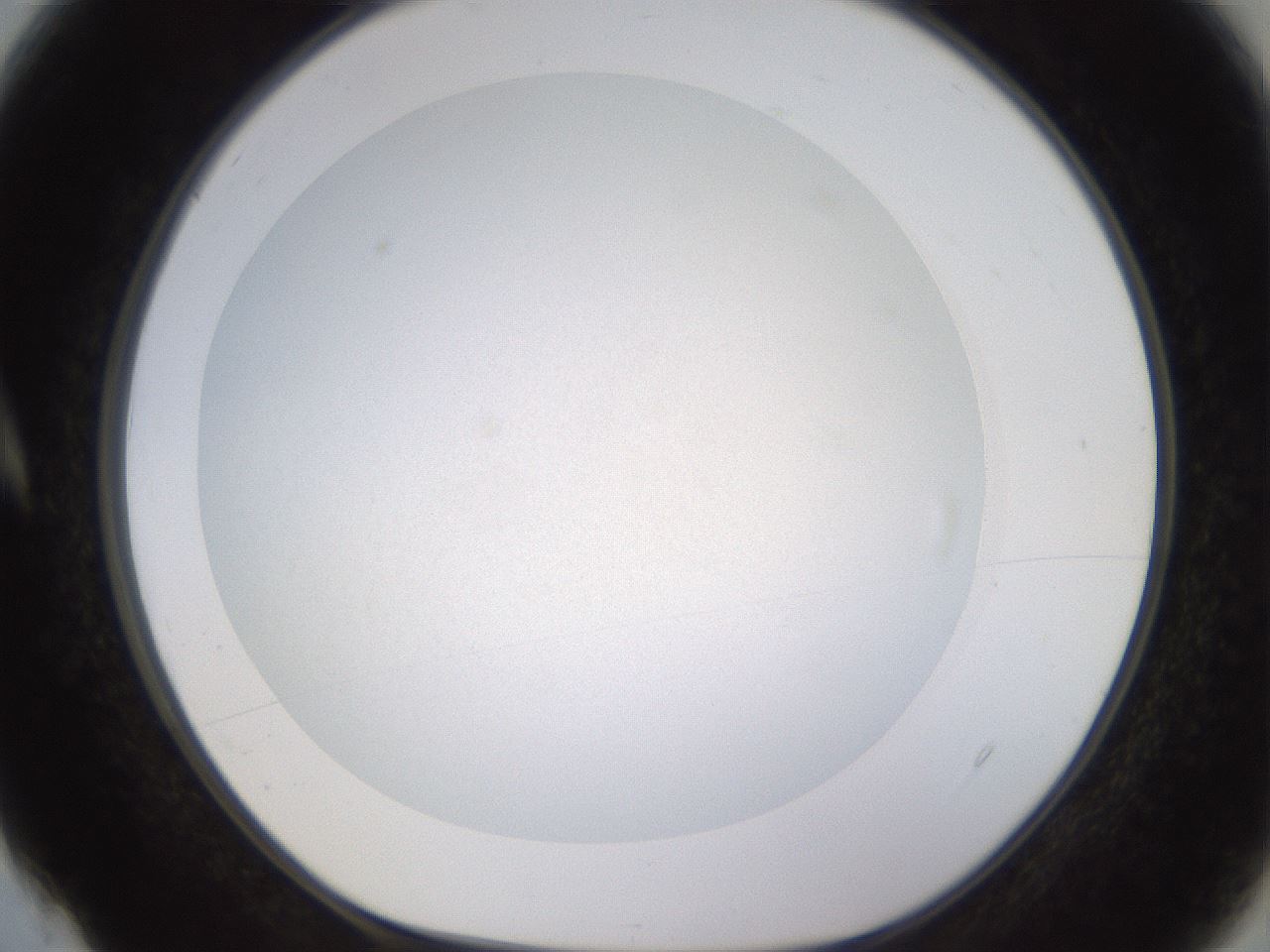 folderID401_plateID1401_batchID5050_wellNum4_profileID1_d1_r84981_ef.jpg