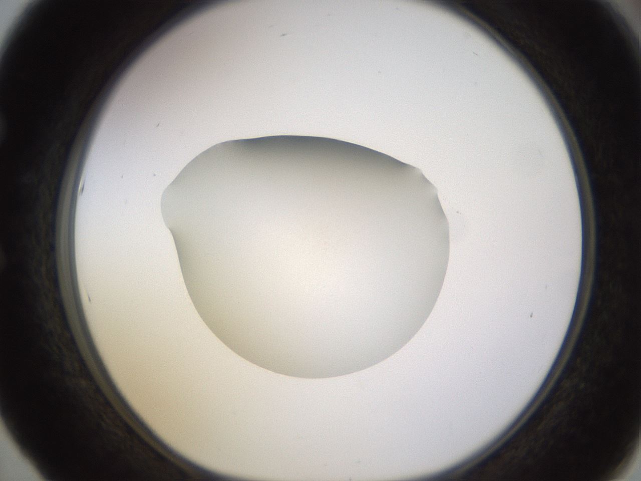 folderID401_plateID1401_batchID5050_wellNum53_profileID1_d1_r85030_ef.jpg