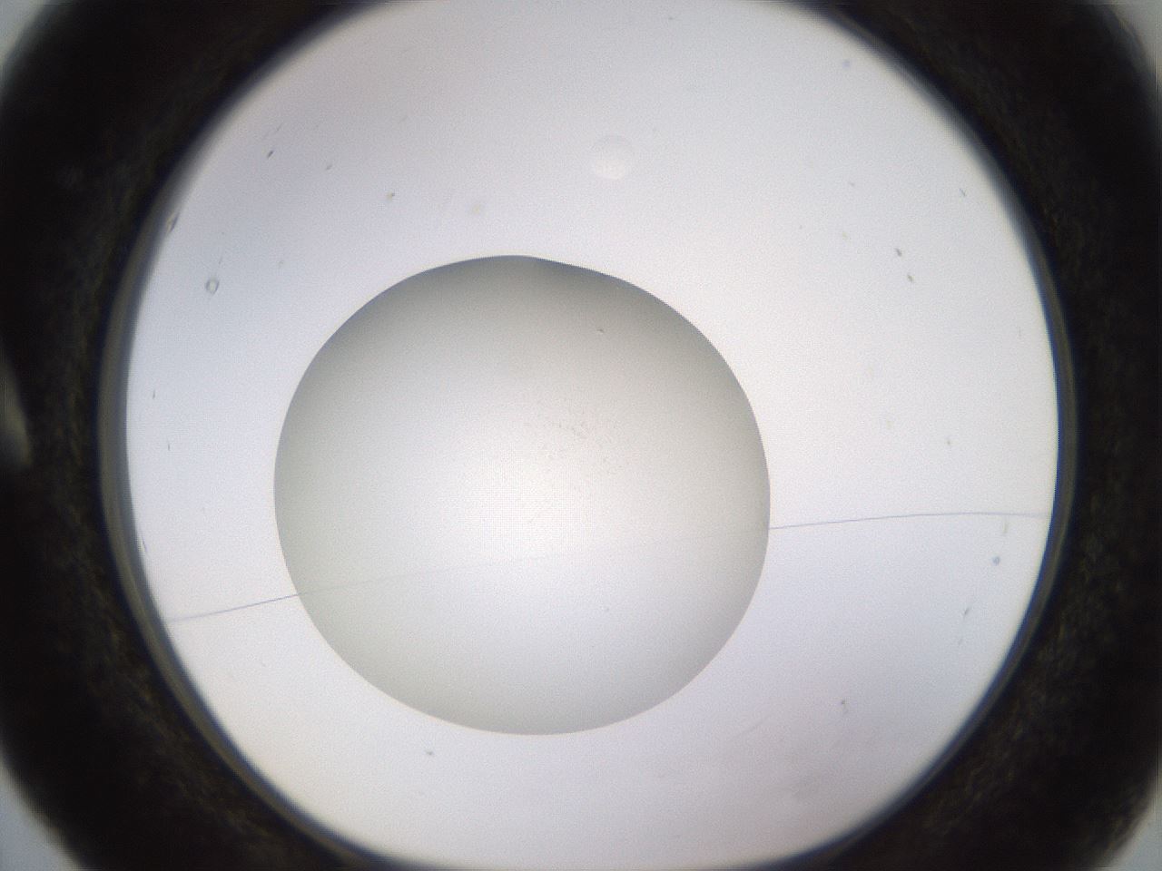 folderID401_plateID1401_batchID5050_wellNum5_profileID1_d1_r84982_ef.jpg