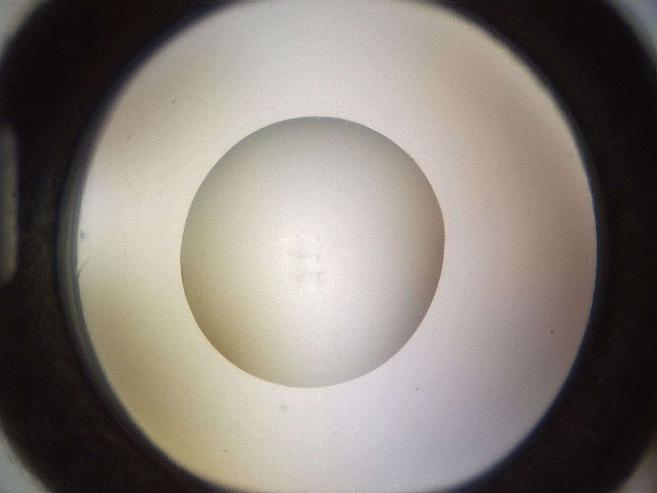 folderID401_plateID1401_batchID5050_wellNum90_profileID1_d1_r85067_ef.jpg