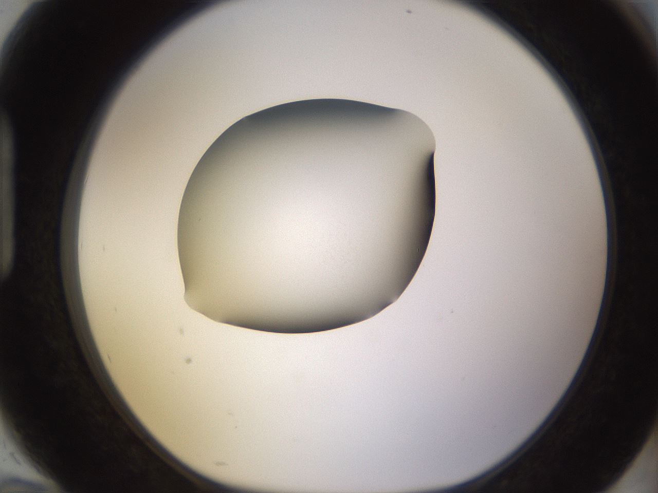 folderID401_plateID1401_batchID5050_wellNum94_profileID1_d1_r85071_ef.jpg