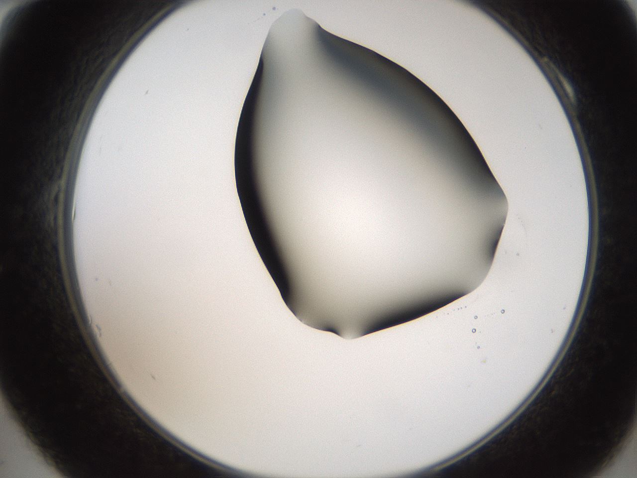 folderID401_plateID2401_batchID11542_wellNum10_profileID1_d2_r177590_ef.jpg