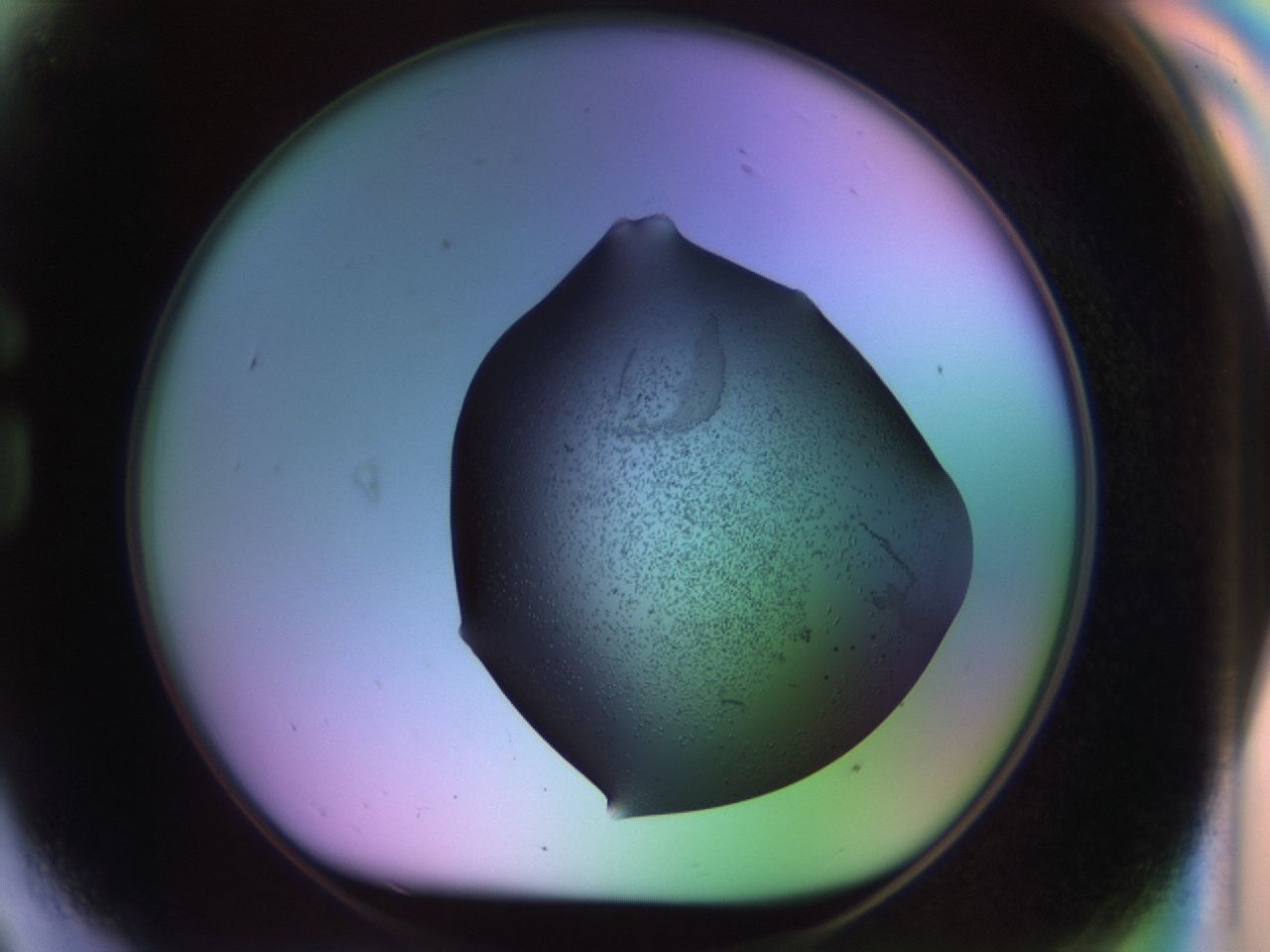 02kn_G9_ImagerDefaults_9.jpg
