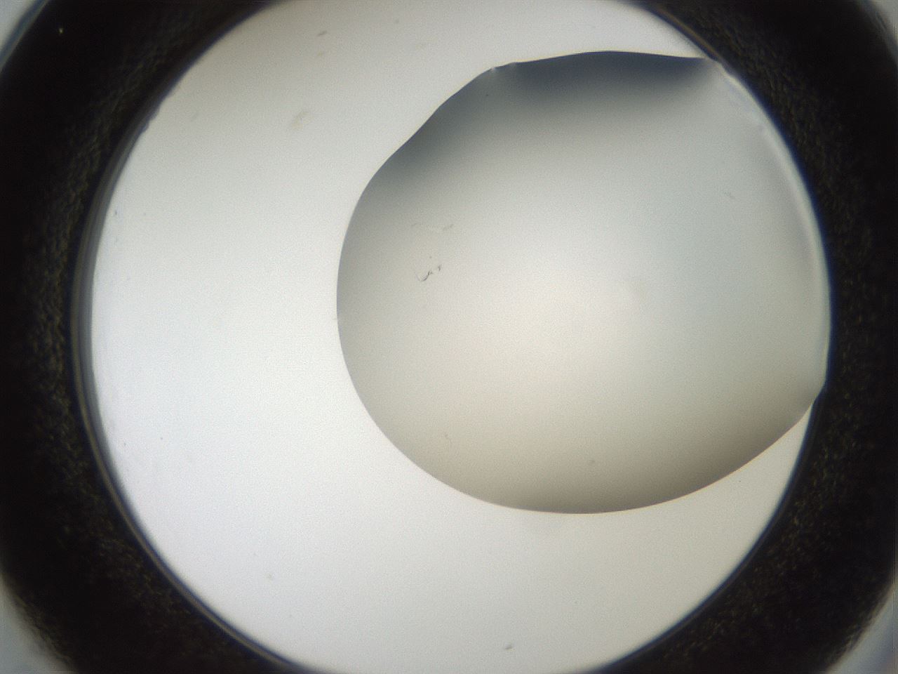 folderID401_plateID2401_batchID11542_wellNum25_profileID1_d2_r177620_ef.jpg