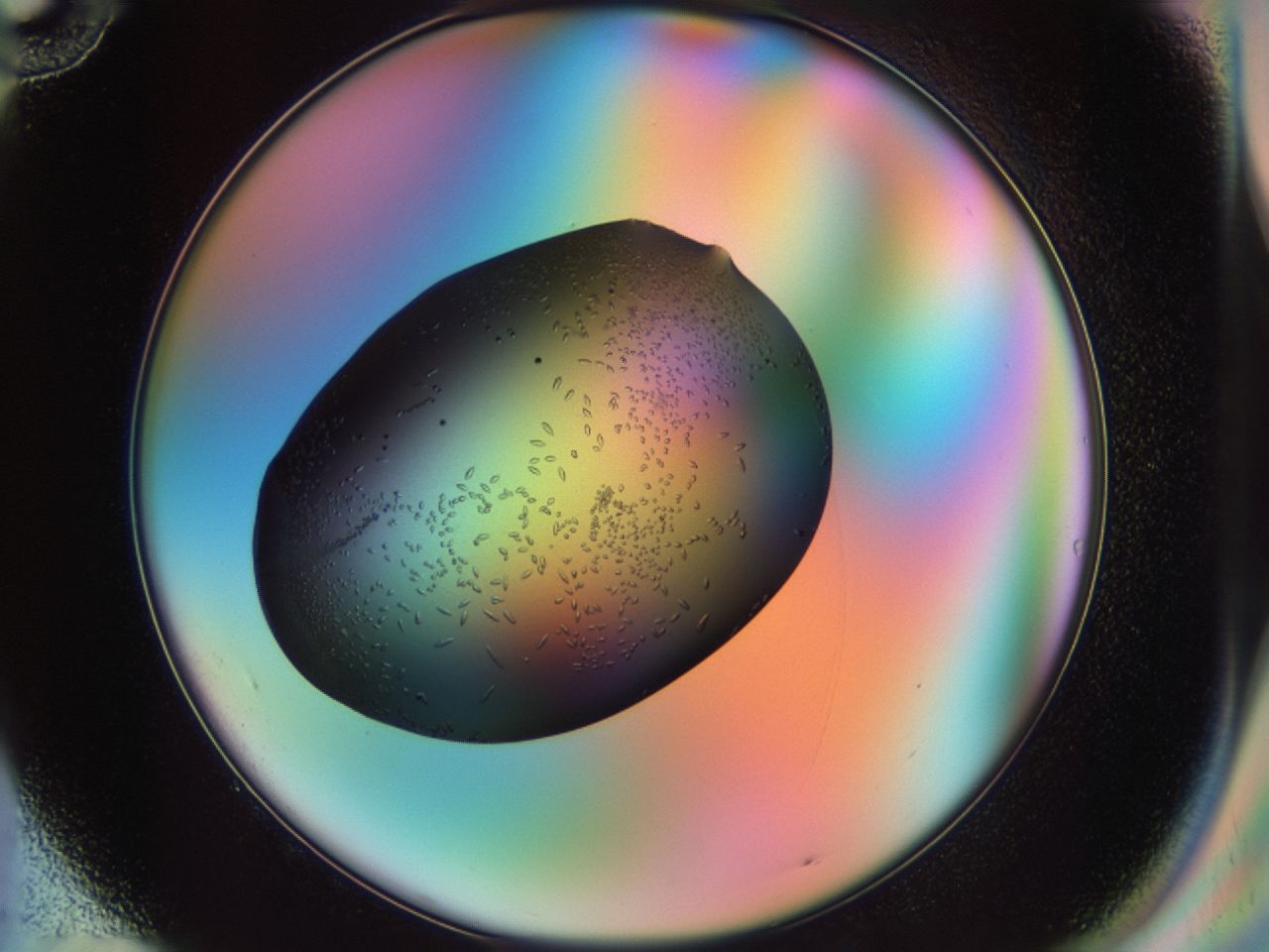 02kn_G10_ImagerDefaults_9.jpg