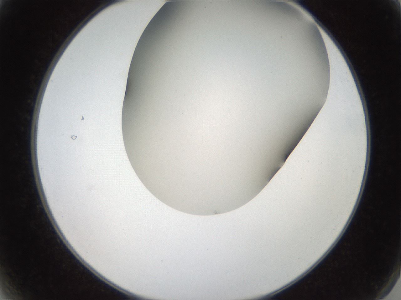 folderID401_plateID2401_batchID11542_wellNum2_profileID1_d2_r177574_ef.jpg