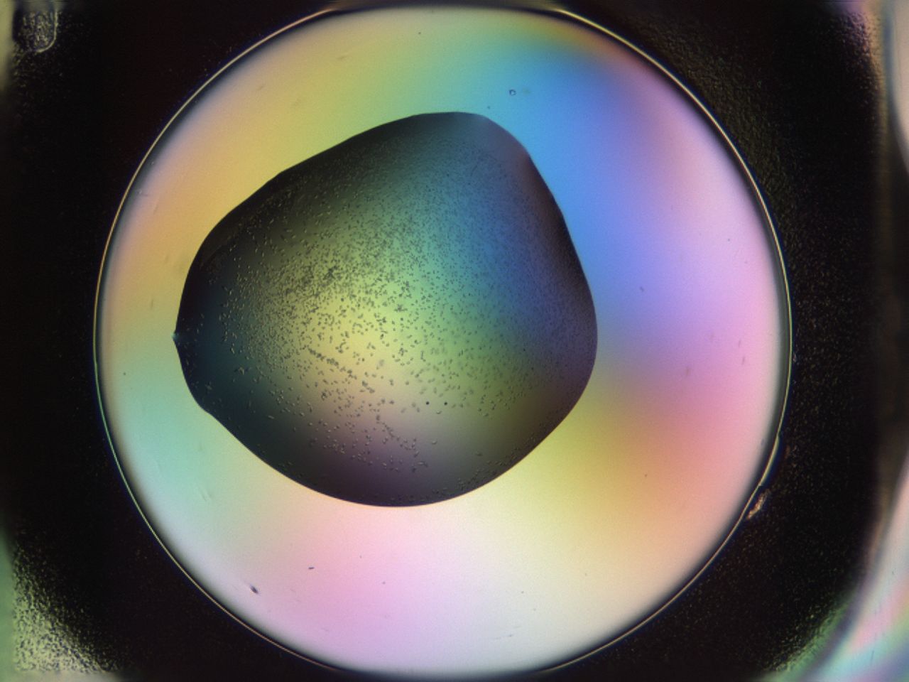 02kn_G11_ImagerDefaults_9.jpg