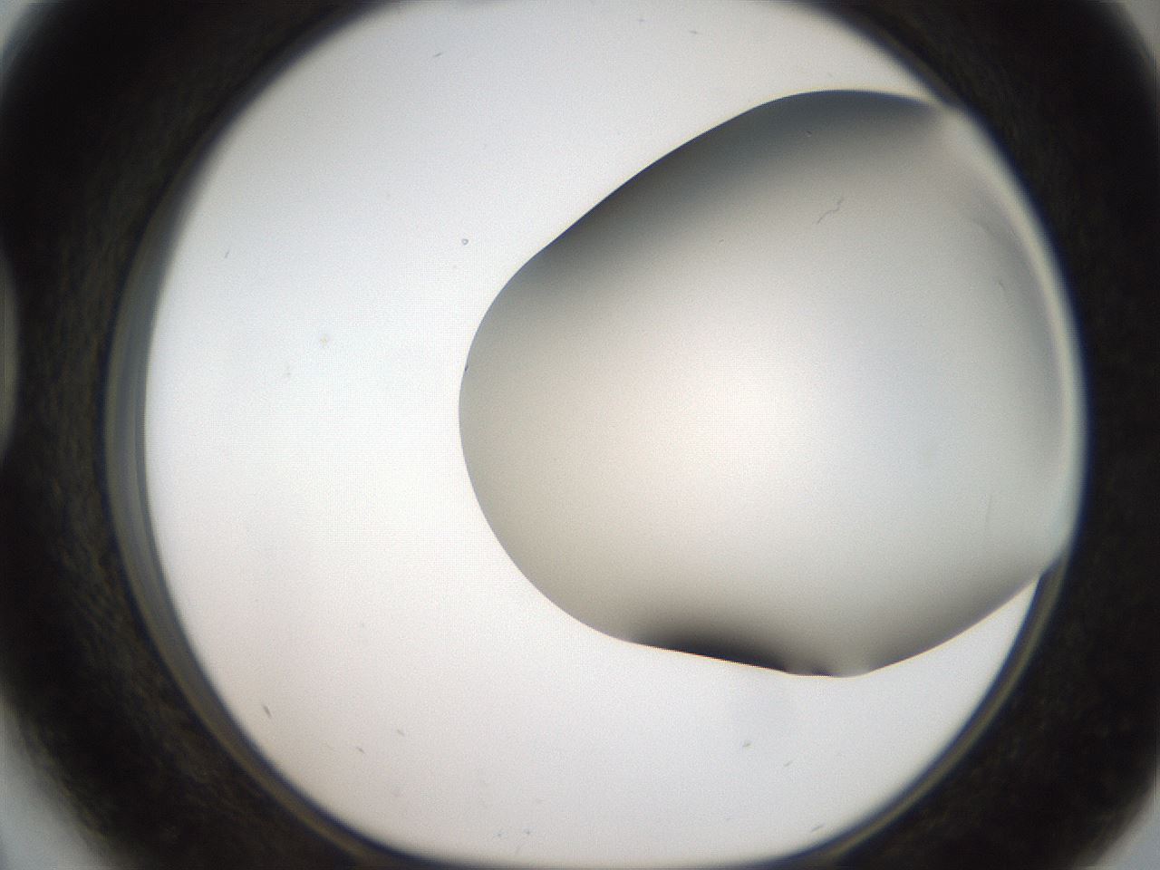 folderID401_plateID2401_batchID11542_wellNum41_profileID1_d1_r177651_ef.jpg