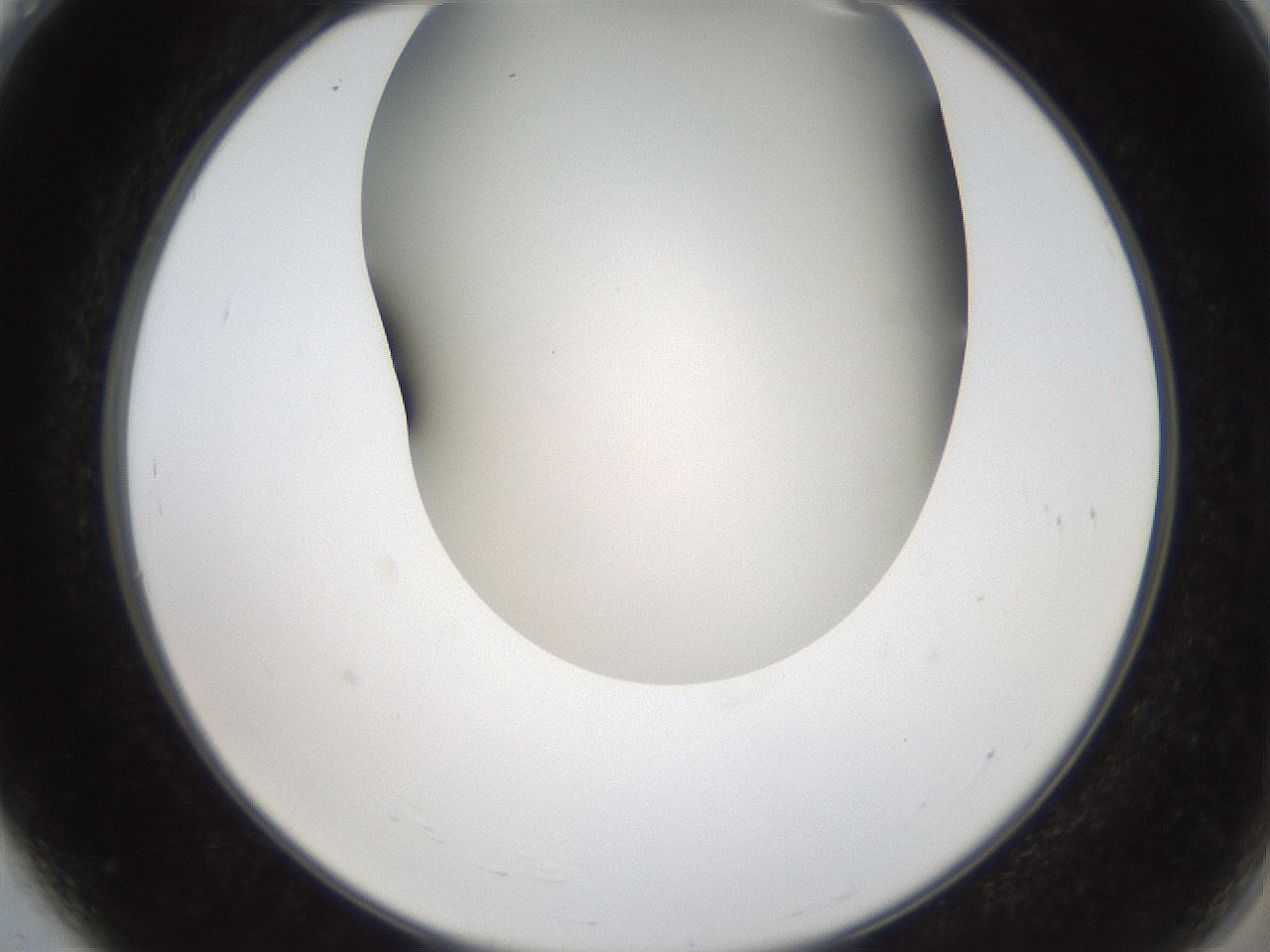folderID401_plateID2401_batchID11542_wellNum4_profileID1_d2_r177578_ef.jpg