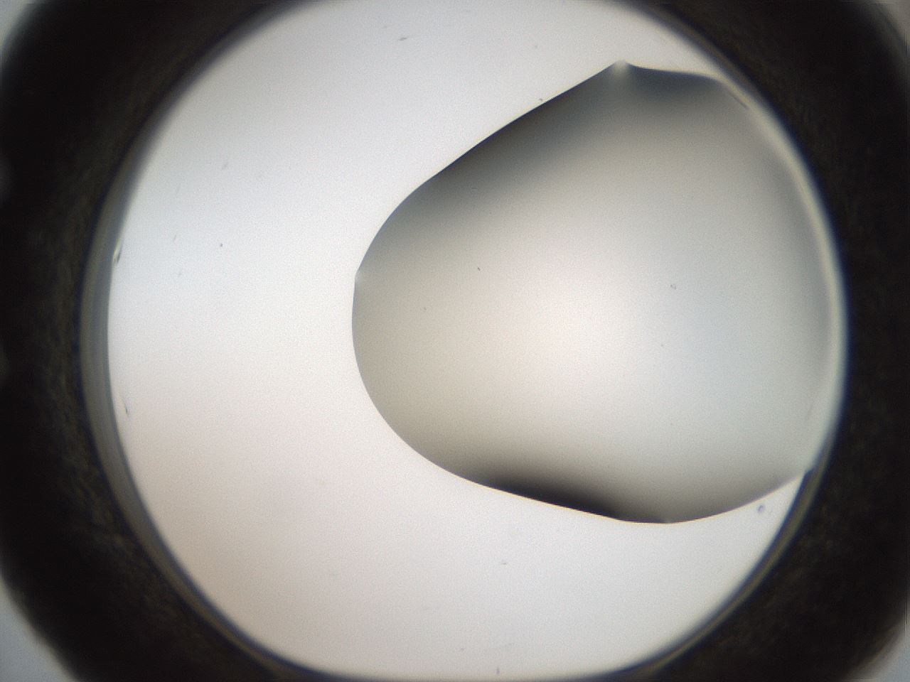 folderID401_plateID2401_batchID11542_wellNum53_profileID1_d1_r177675_ef.jpg