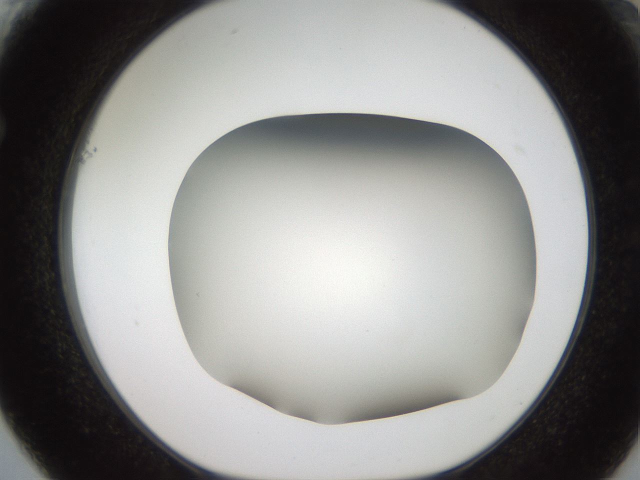 folderID401_plateID2401_batchID11542_wellNum61_profileID1_d1_r177691_ef.jpg