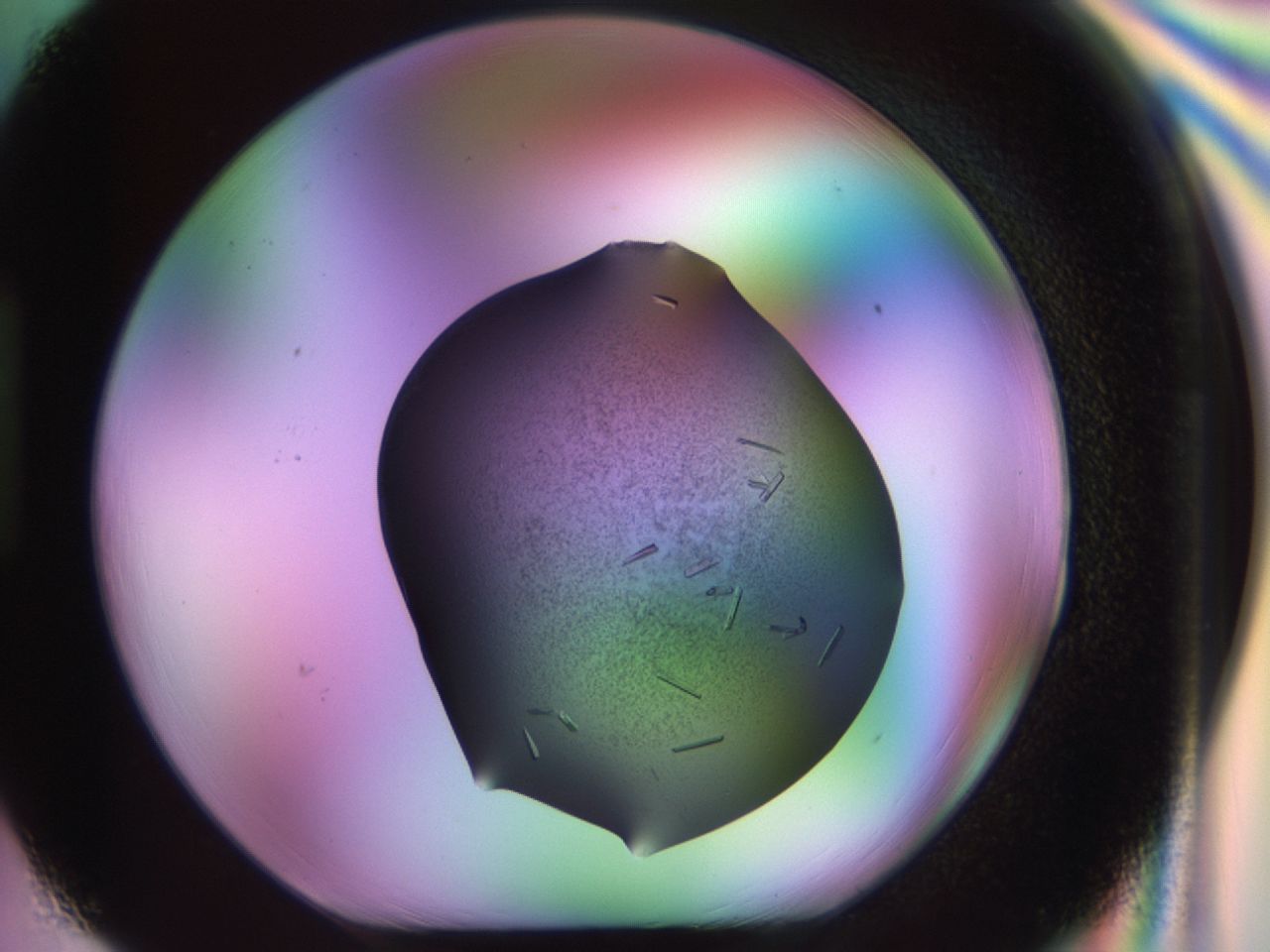 02kn_H3_ImagerDefaults_9.jpg