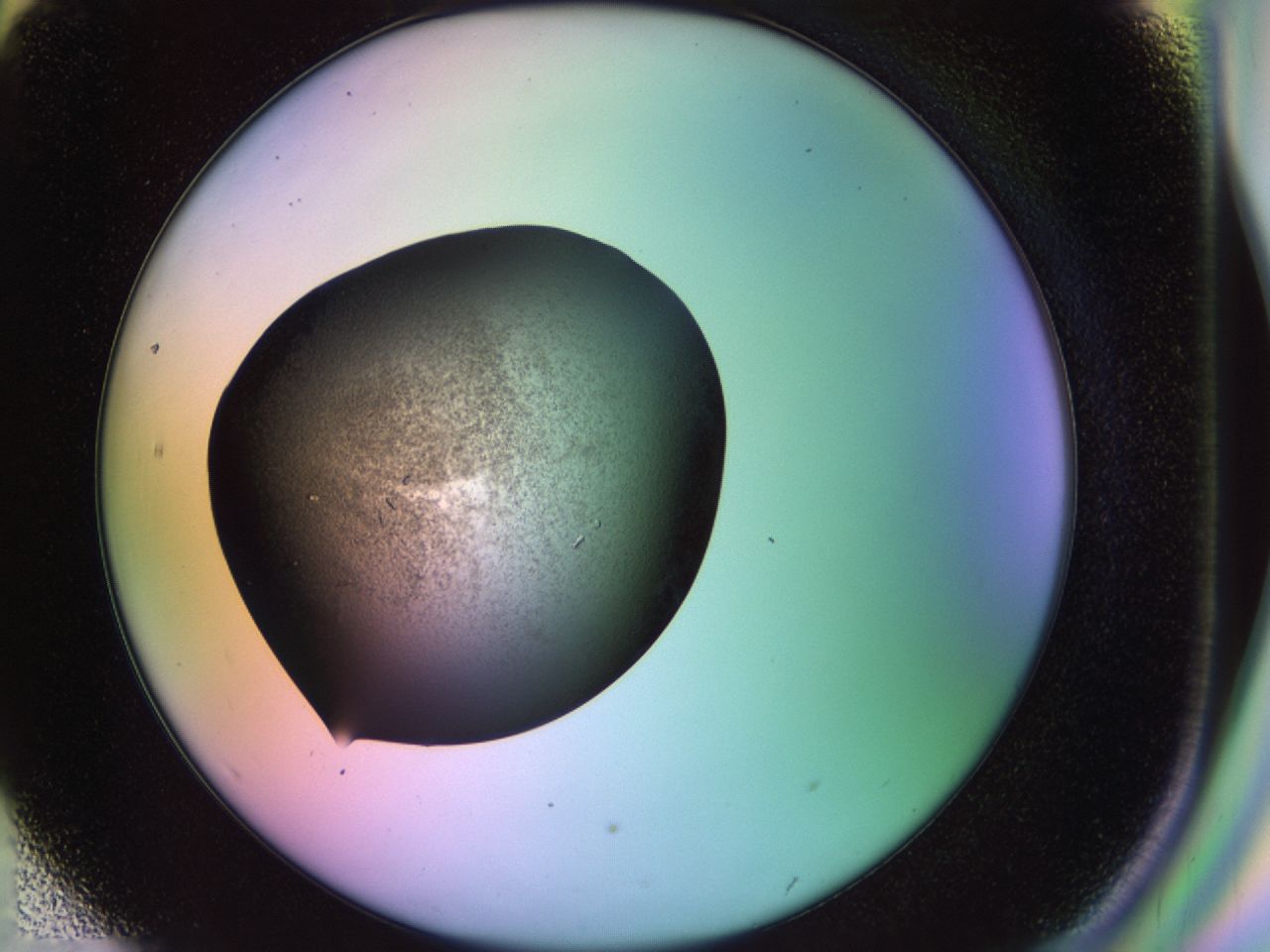 02kn_H6_ImagerDefaults_9.jpg