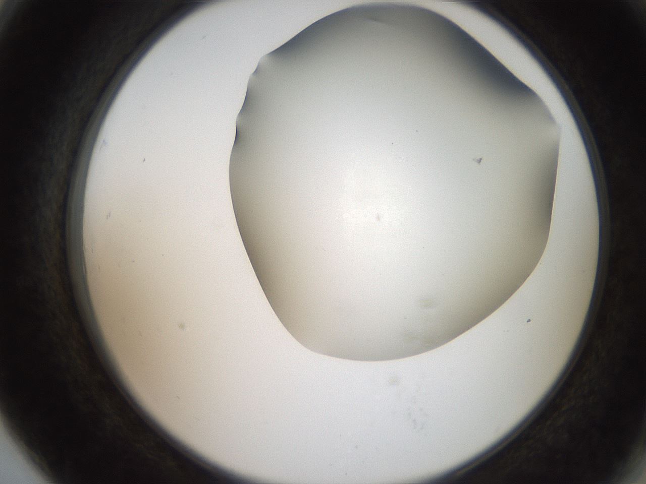 folderID401_plateID2401_batchID11542_wellNum79_profileID1_d2_r177728_ef.jpg