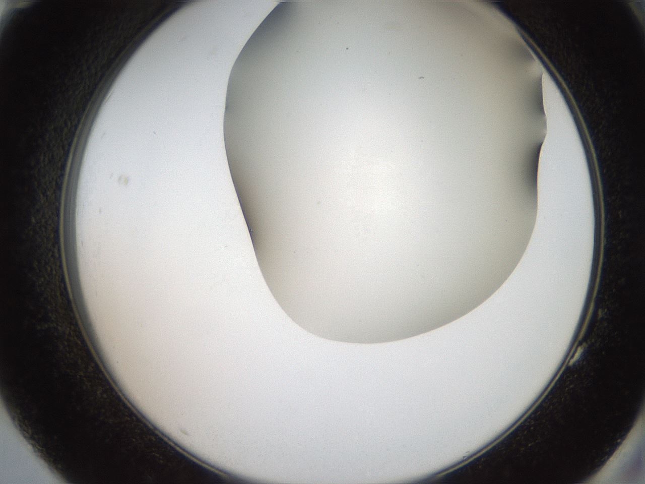 folderID401_plateID2401_batchID11542_wellNum83_profileID1_d2_r177736_ef.jpg