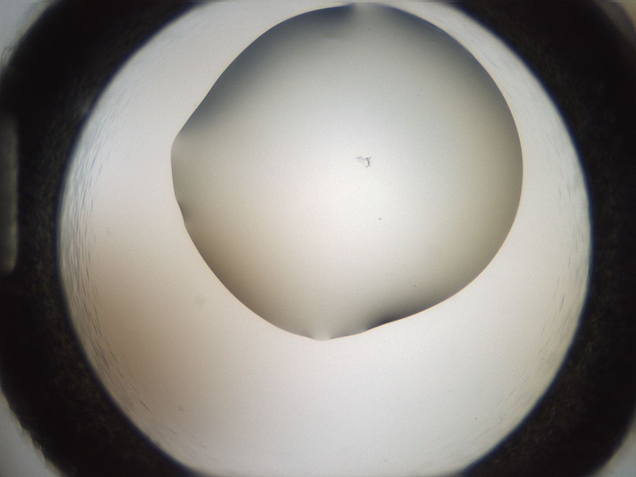 folderID401_plateID2401_batchID11542_wellNum86_profileID1_d1_r177741_ef.jpg
