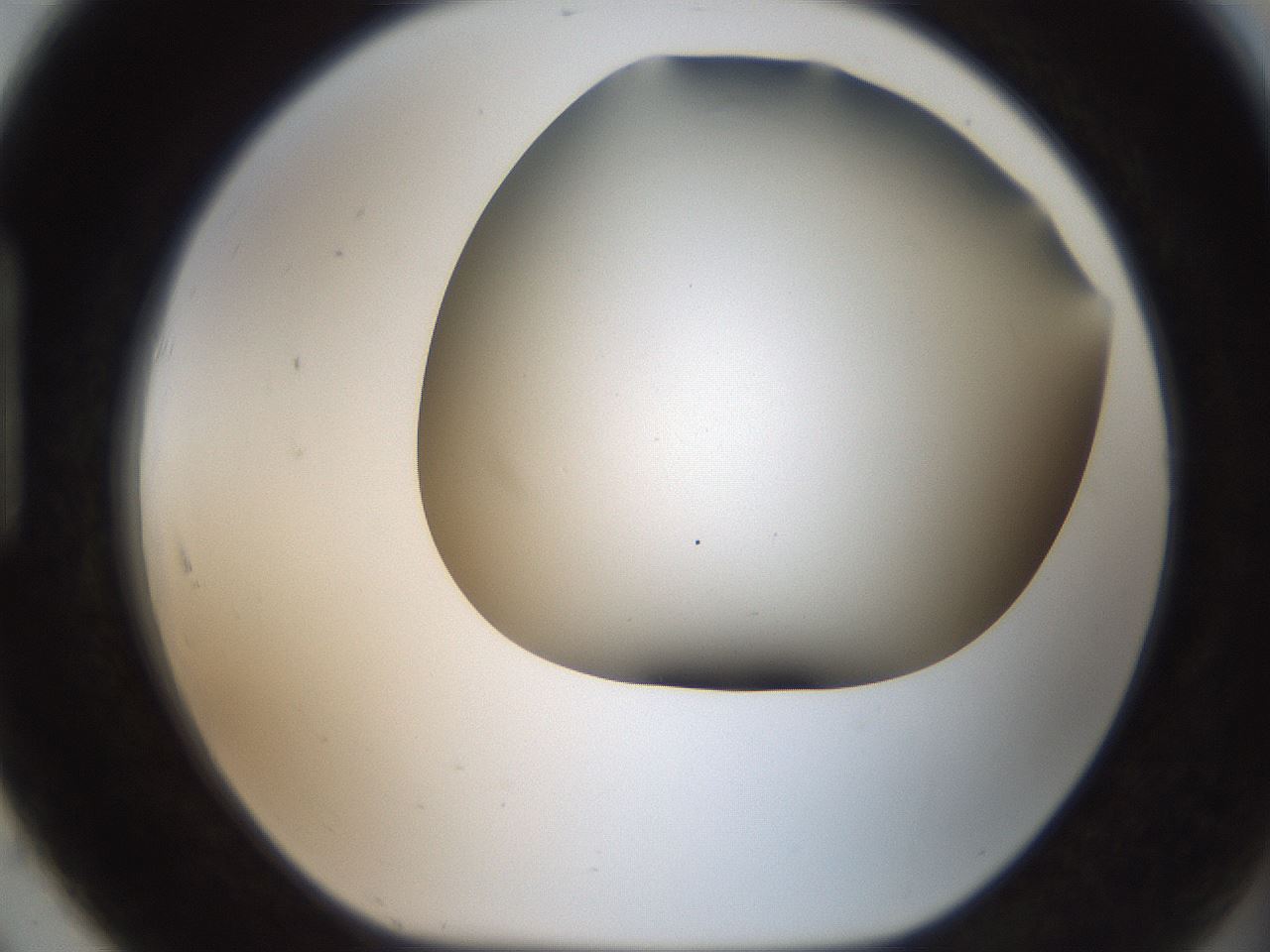 folderID401_plateID2401_batchID11542_wellNum91_profileID1_d1_r177751_ef.jpg