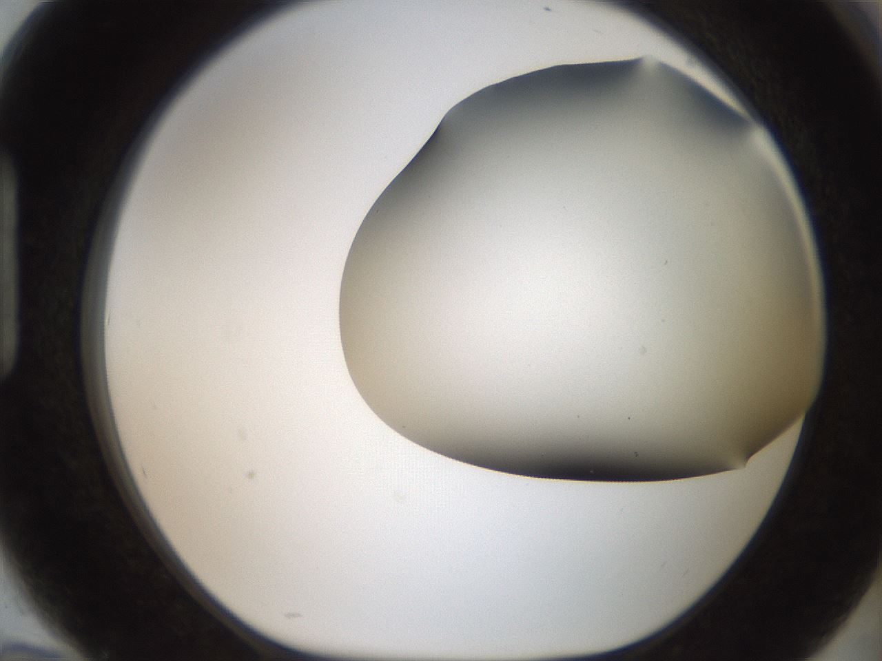 folderID401_plateID2401_batchID11542_wellNum94_profileID1_d1_r177757_ef.jpg