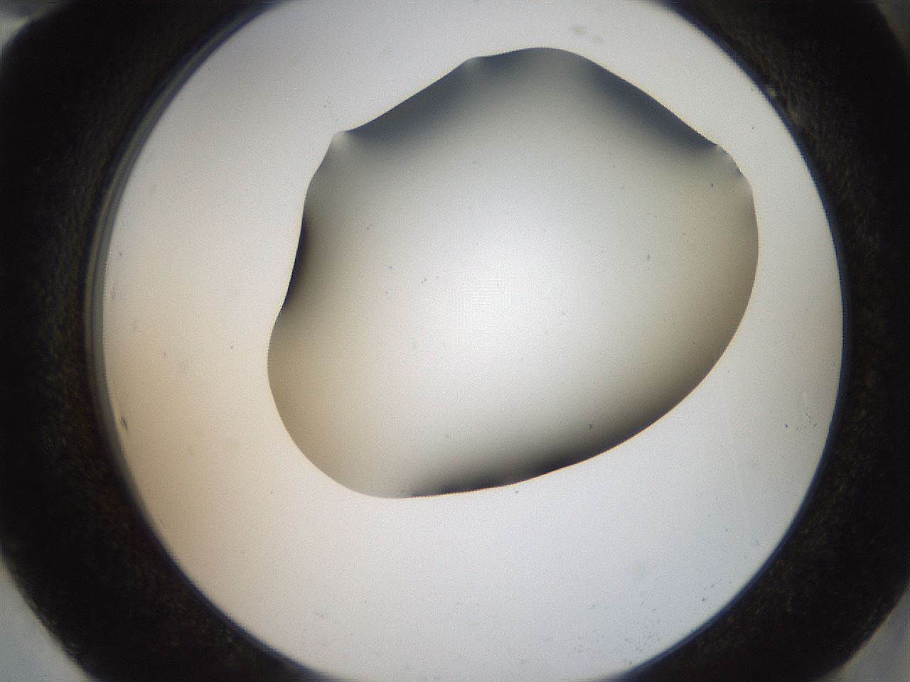 folderID401_plateID2401_batchID11542_wellNum94_profileID1_d2_r177758_ef.jpg