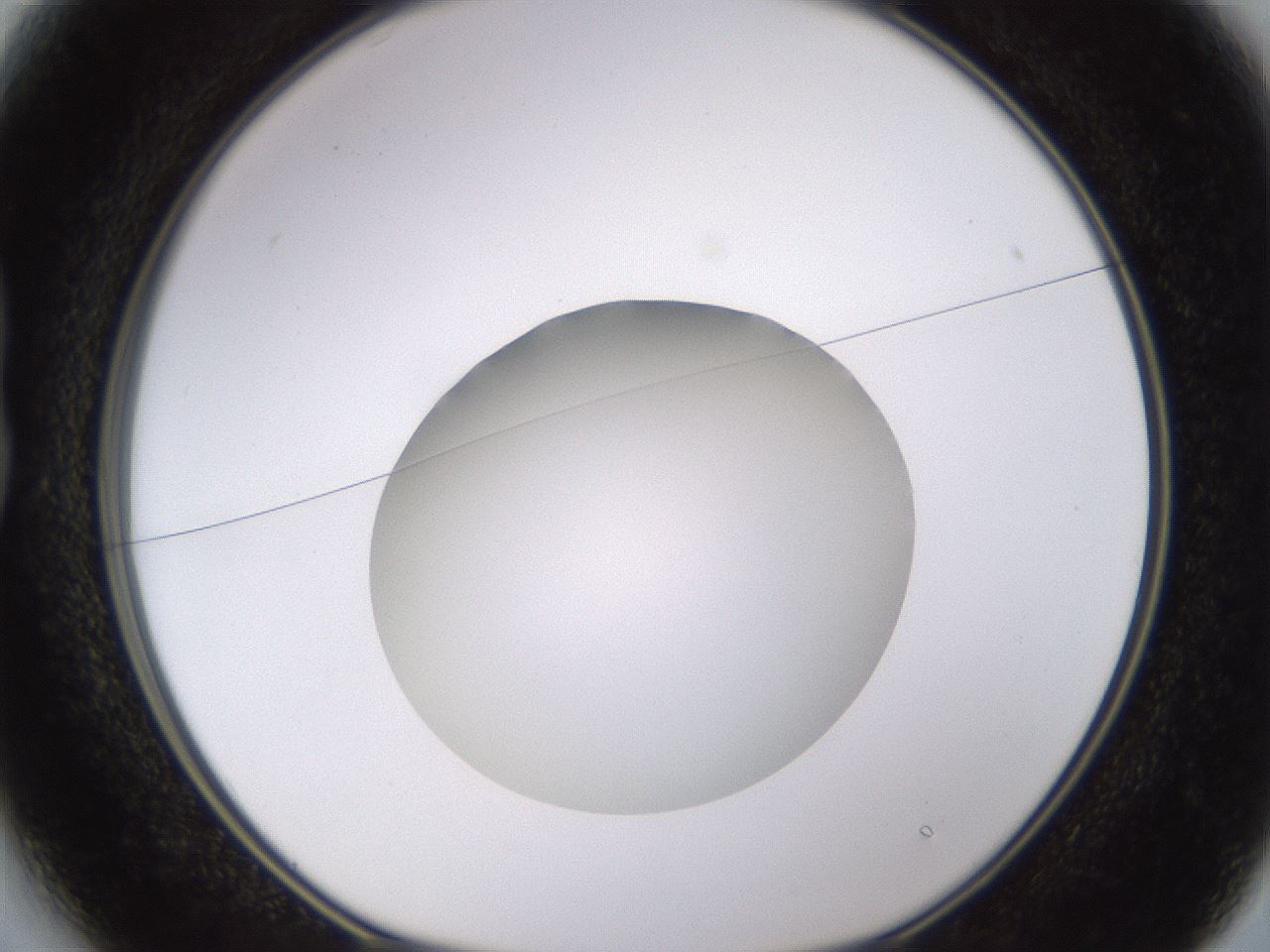 folderID402_plateID1402_batchID5054_wellNum13_profileID1_d1_r85278_ef.jpg