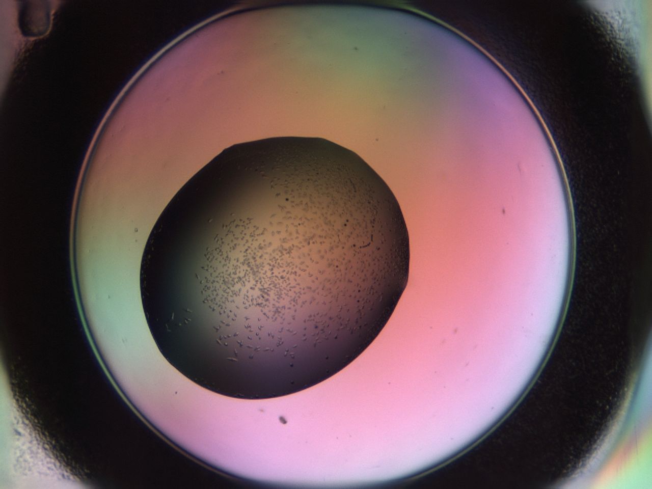 02kn_C11_ImagerDefaults_9.jpg