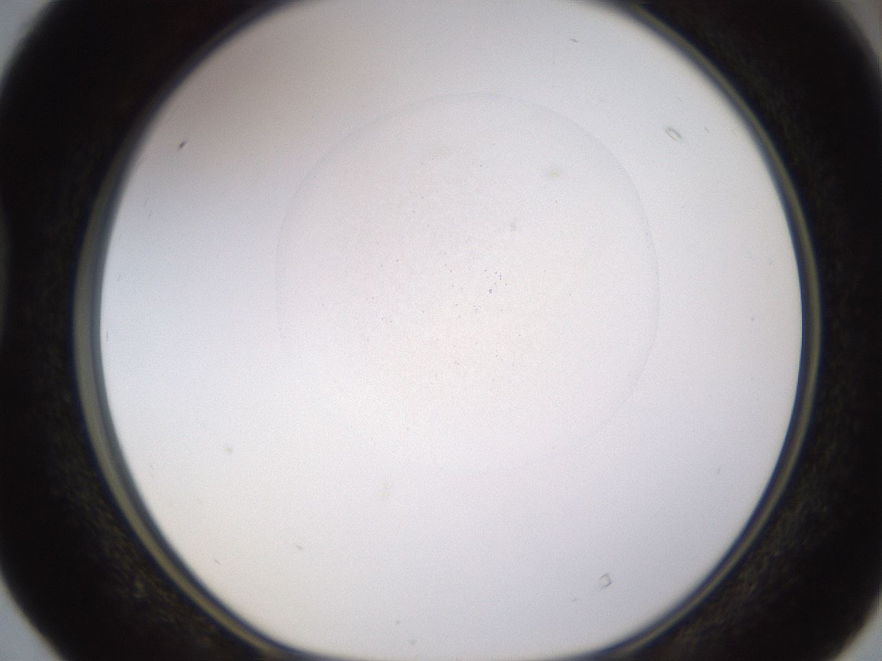 folderID402_plateID1402_batchID5054_wellNum40_profileID1_d1_r85305_ef.jpg