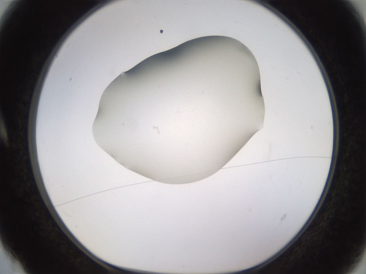 folderID402_plateID1402_batchID5054_wellNum4_profileID1_d1_r85269_ef.jpg