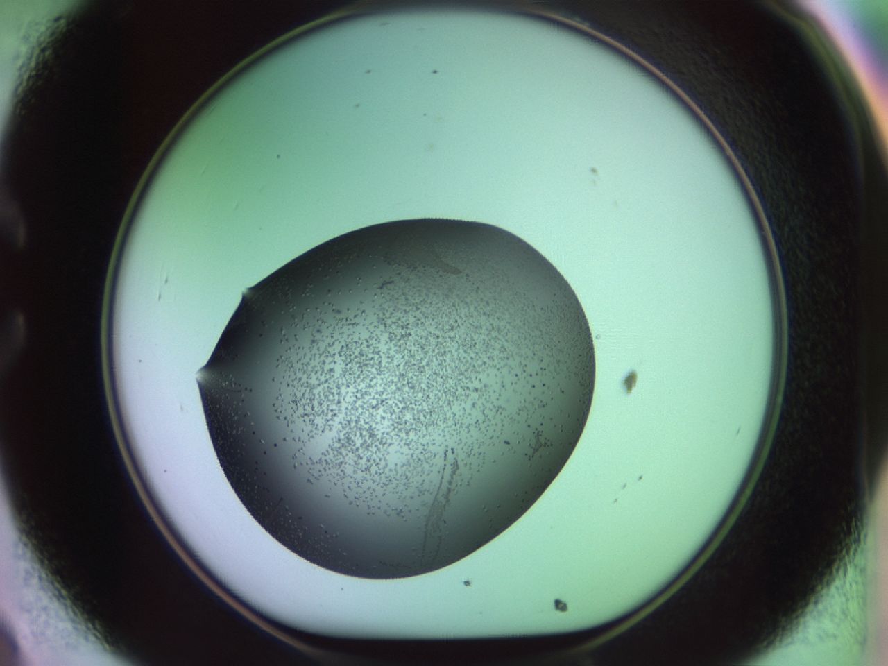 02kn_C8_ImagerDefaults_9.jpg
