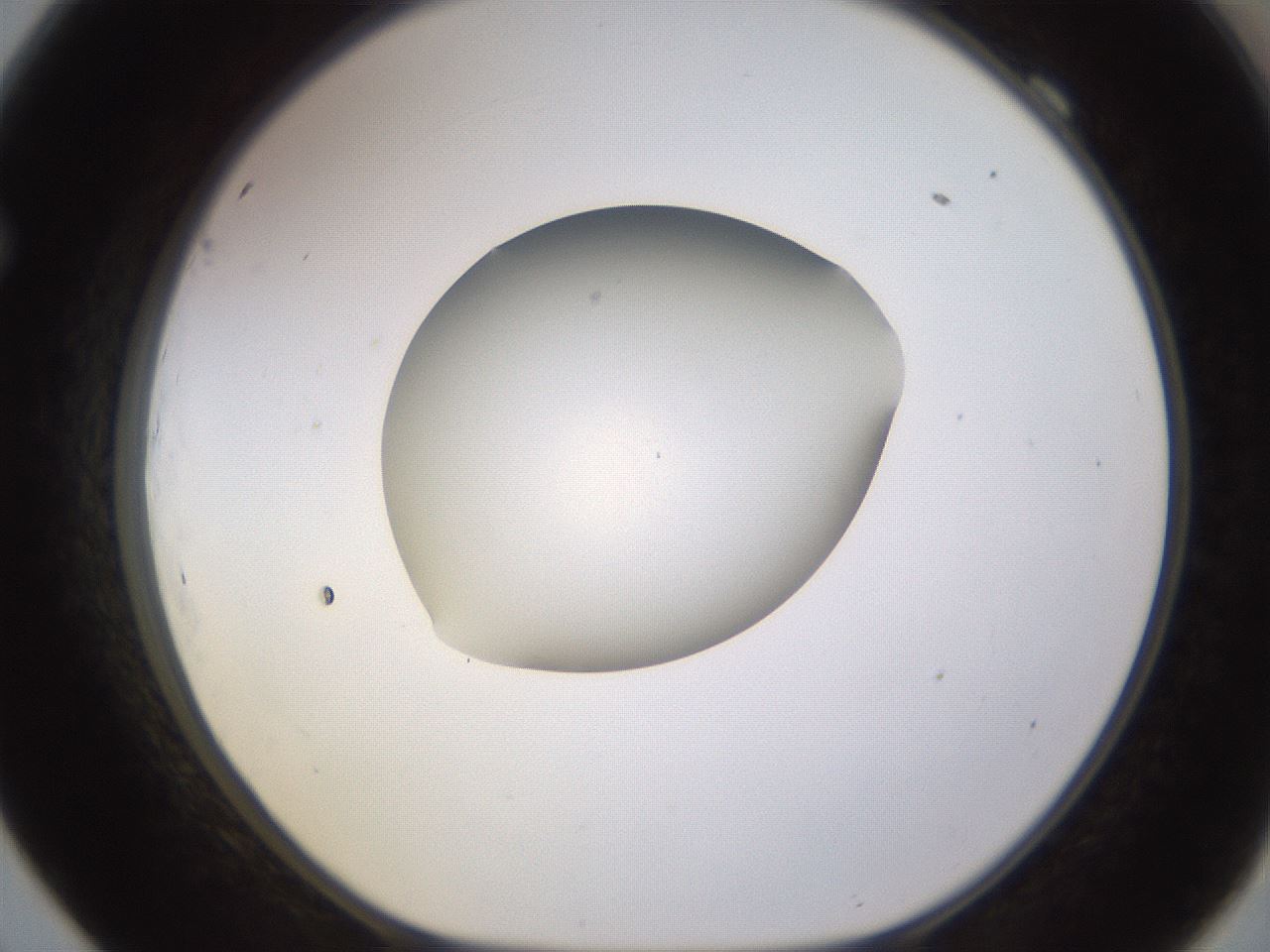 folderID402_plateID1402_batchID5054_wellNum69_profileID1_d1_r85334_ef.jpg