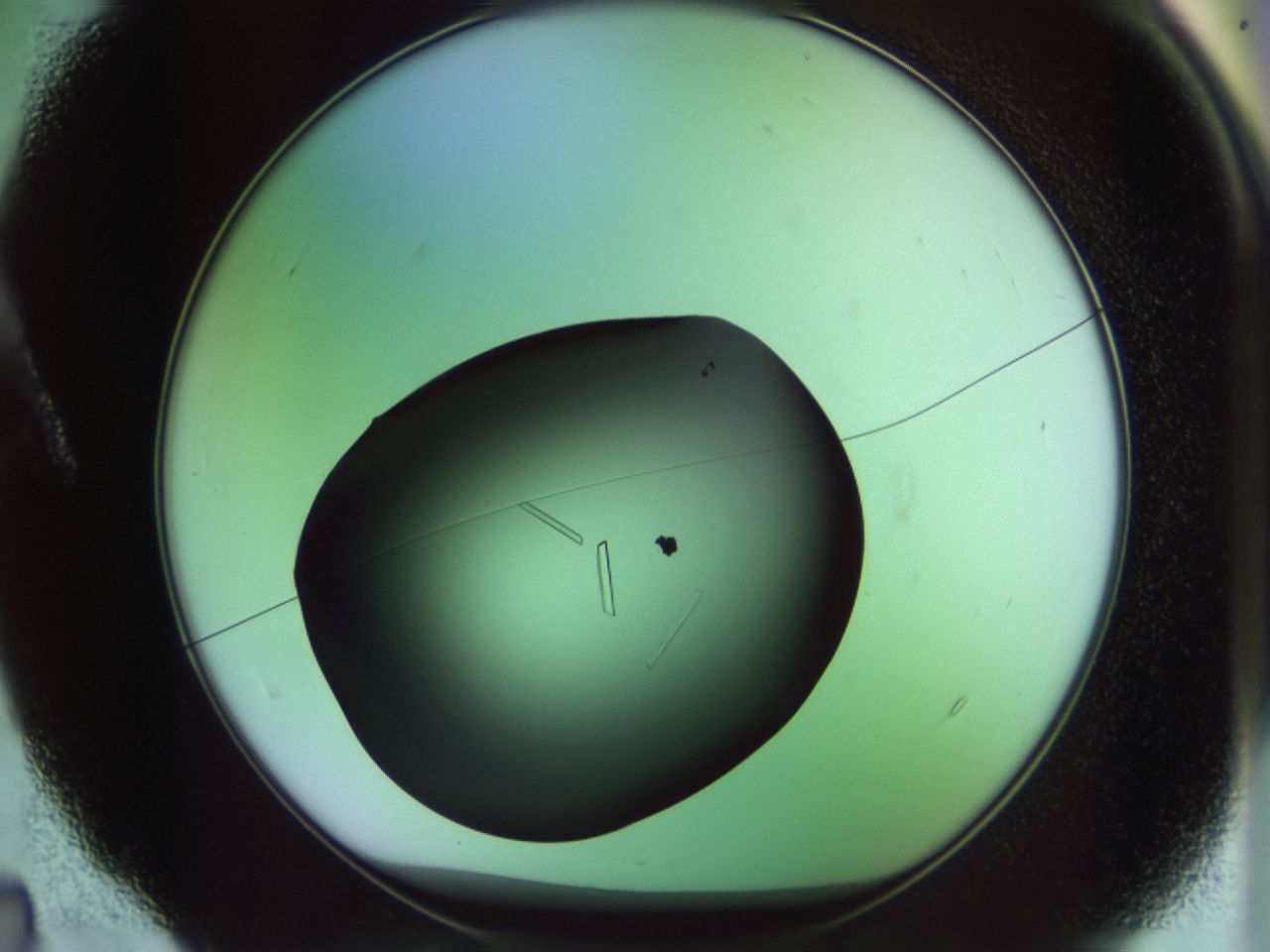 02kn_A4_ImagerDefaults_9.jpg