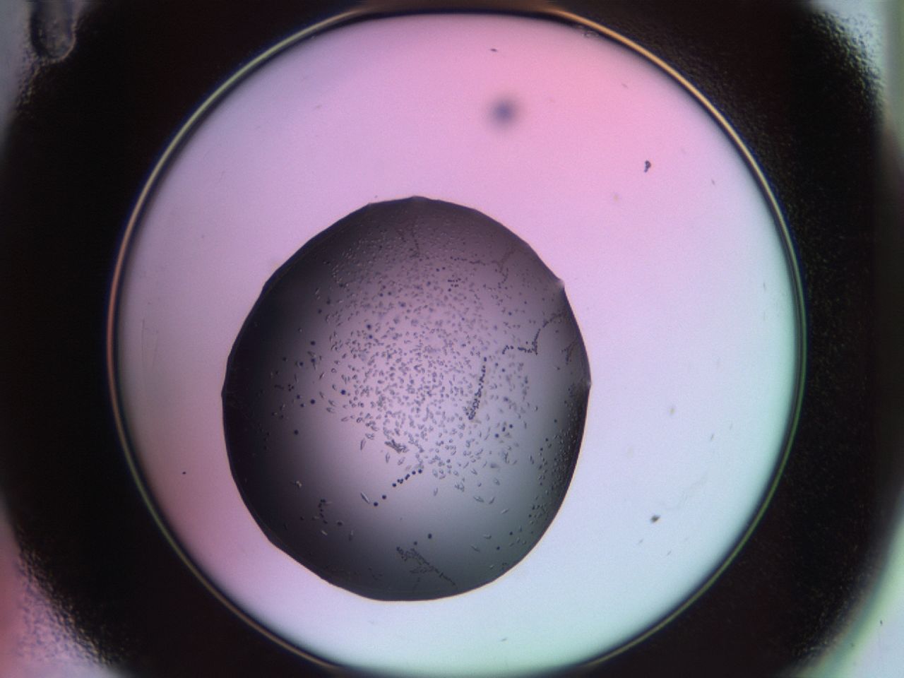 02kn_A11_ImagerDefaults_9.jpg
